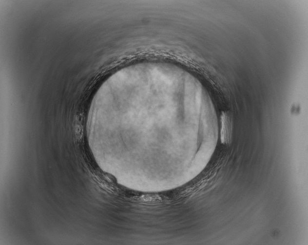 X0000098221491200805151304