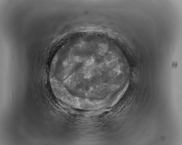 X0000098221493200805151304