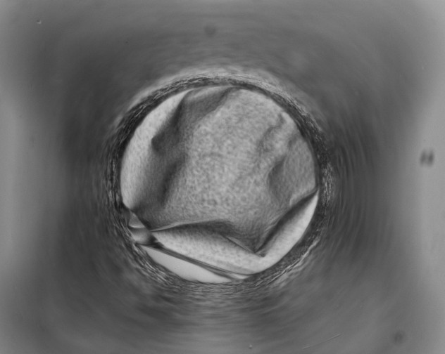 X0000098221494200805151304