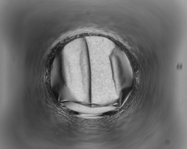 X0000098221495200805151304