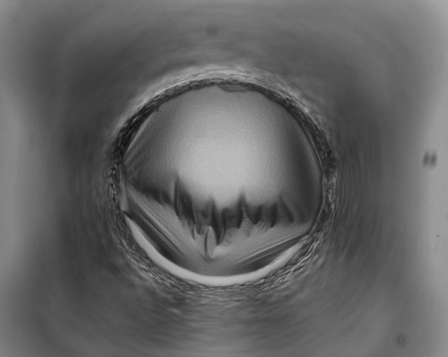 X0000098221496200805151304