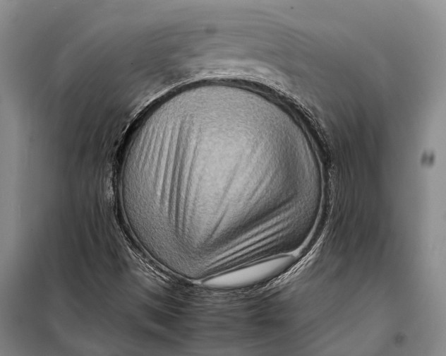 X0000098221497200805151304