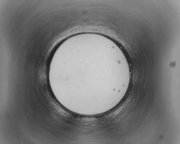 X0000098221498200805151304