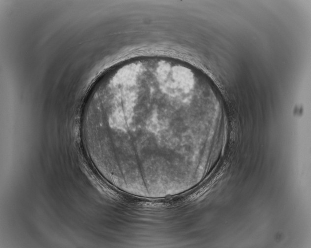 X0000098221499200805151304