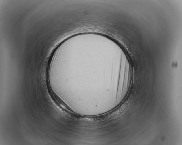 X0000098221500200805151304