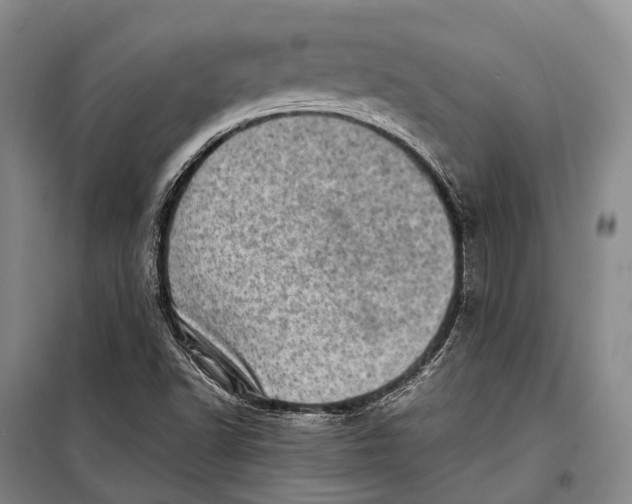 X0000098221502200805151304