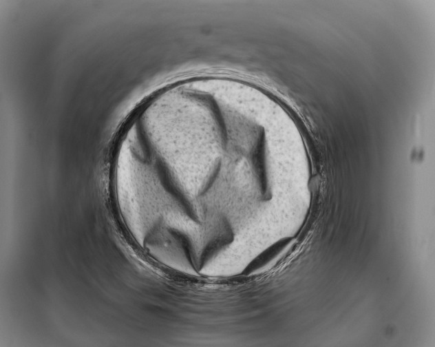 X0000098221503200805151304