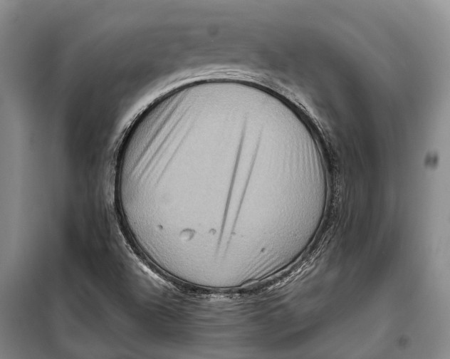 X0000098221504200805151304