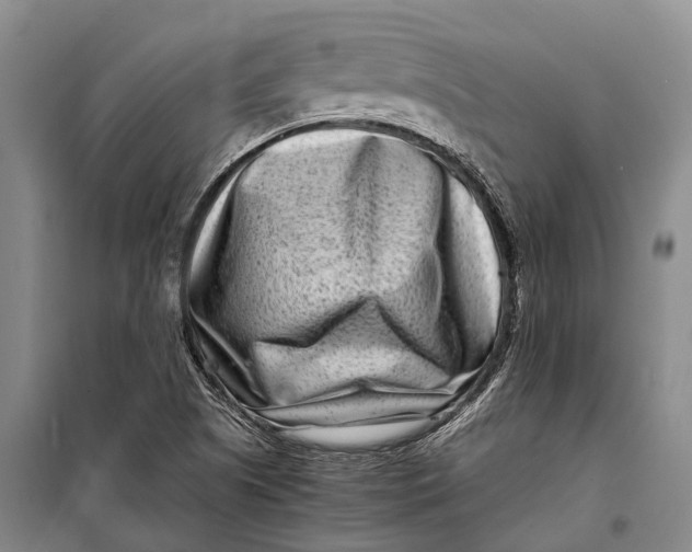 X0000098221505200805151304