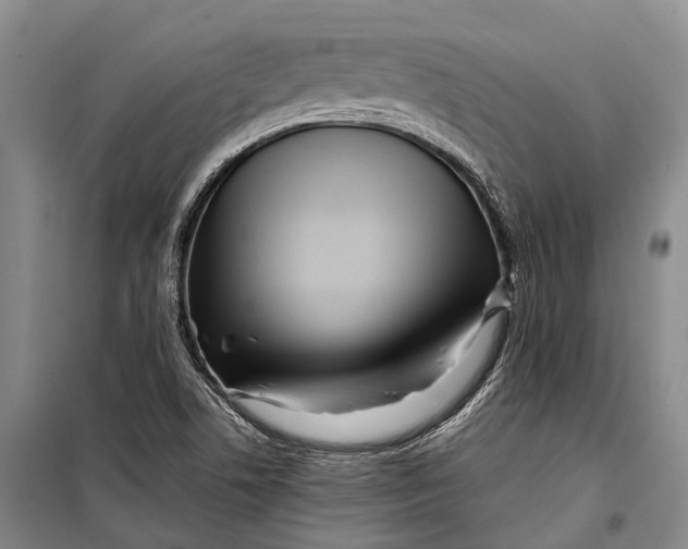 X0000098221506200805151304