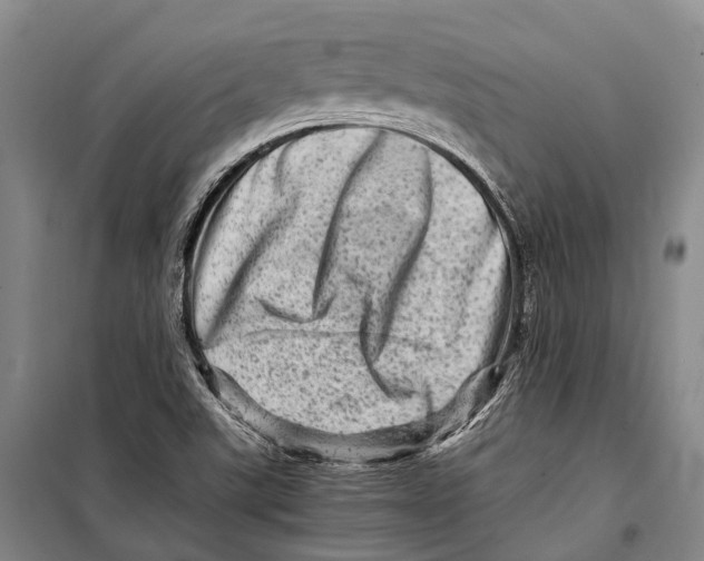 X0000098221507200805151305