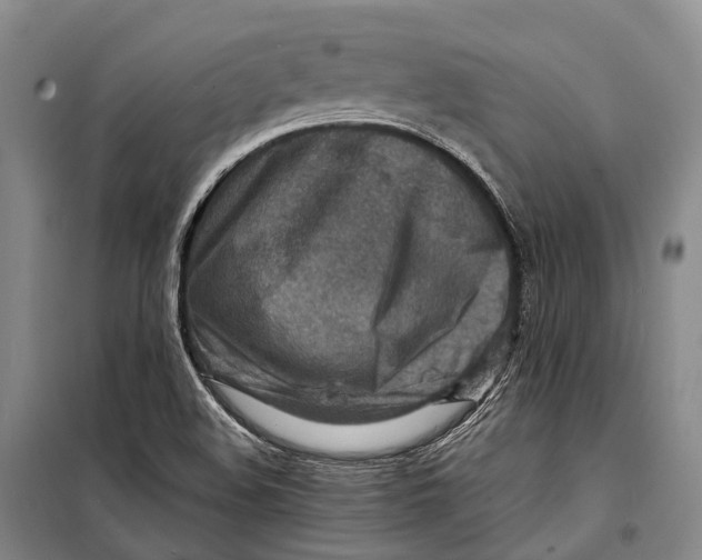 X0000098221508200805151305