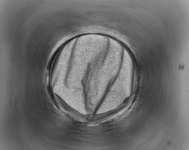 X0000098221509200805151305