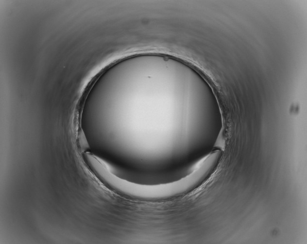 X0000098221510200805151305