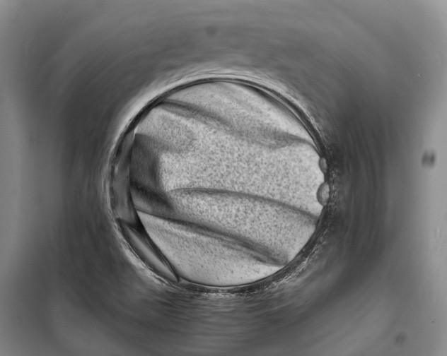 X0000098221511200805151305