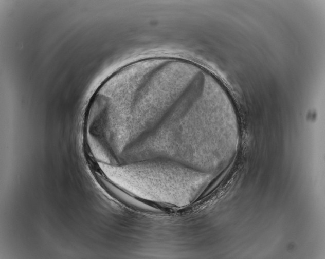 X0000098221512200805151305