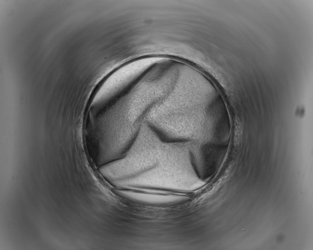 X0000098221513200805151305