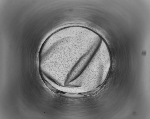 X0000098221516200805151305