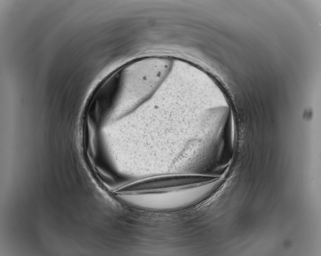 X0000098221517200805151305