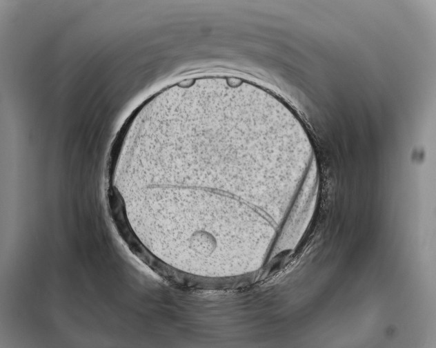 X0000098221518200805151305