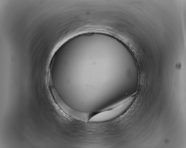 X0000098221520200805151305