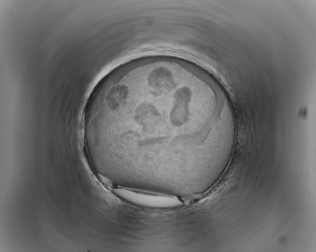 X0000098221522200805151305