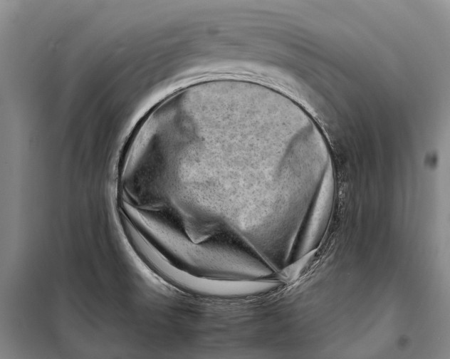 X0000098221523200805151305