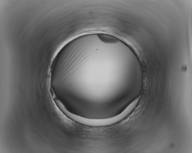 X0000098221524200805151305