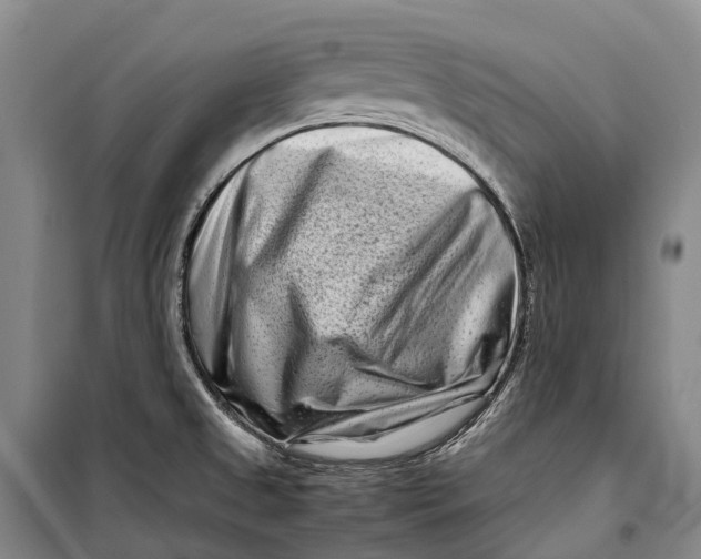 X0000098221525200805151305