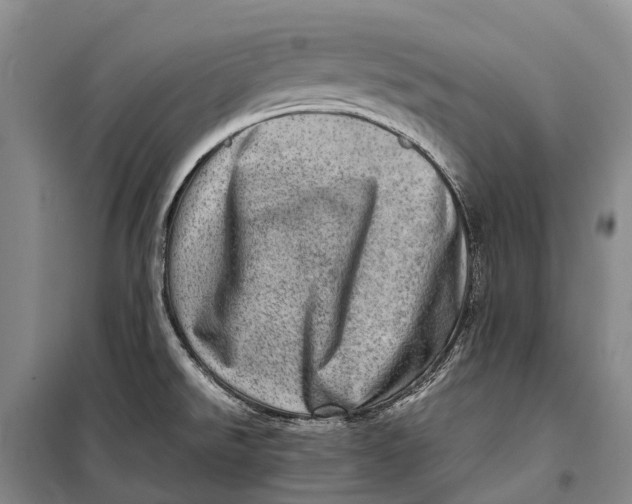 X0000098221526200805151305