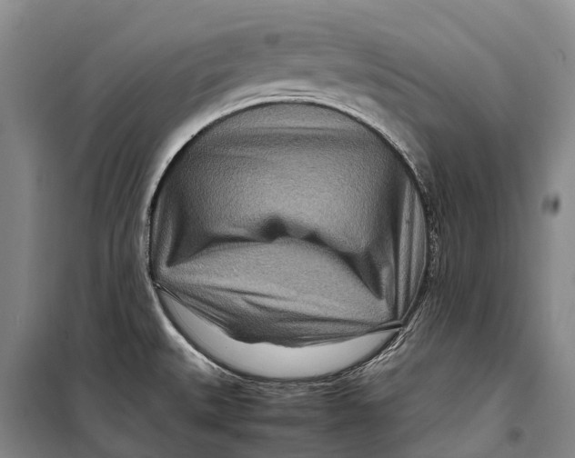 X0000098221527200805151305