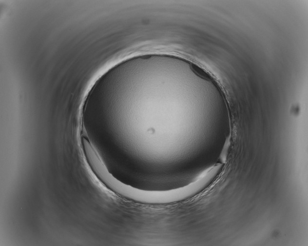 X0000098221528200805151305