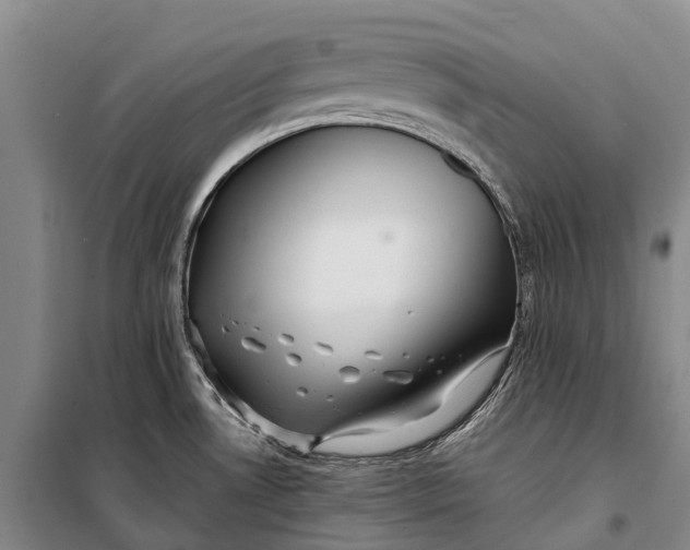 X0000098221530200805151305