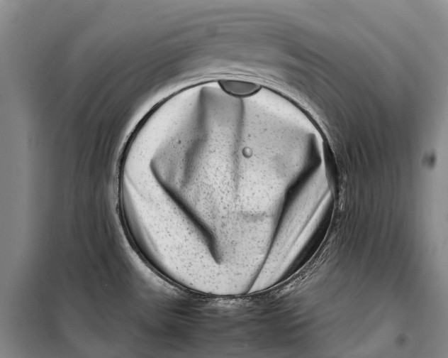 X0000098221531200805151305