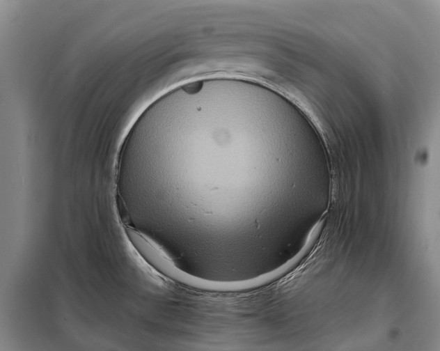 X0000098221532200805151305