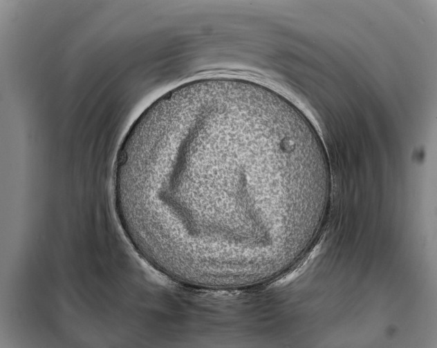 X0000098221533200805151305