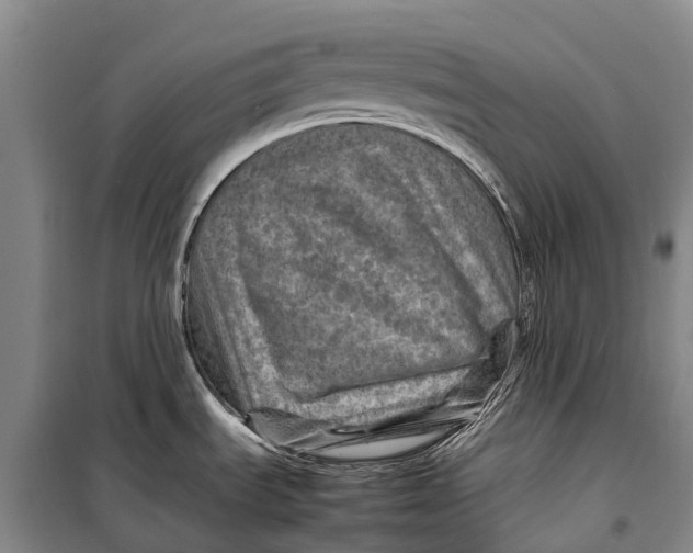 X0000098221535200805151305