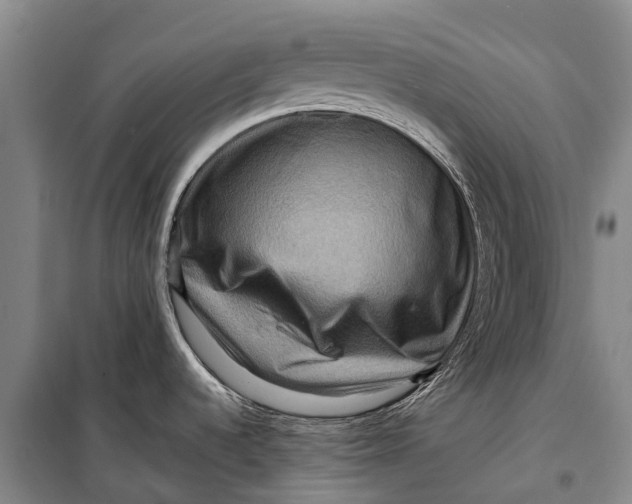 X0000098221536200805151305