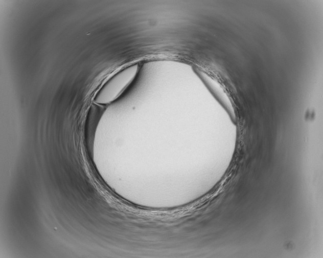 X0000098220001200805221659