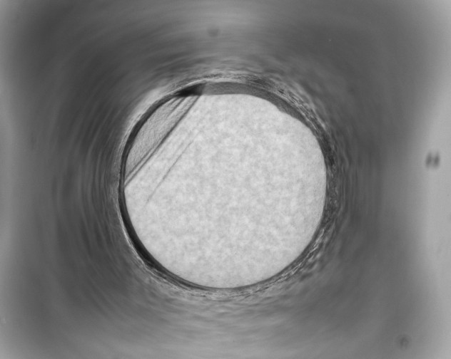 X0000098220003200805221659