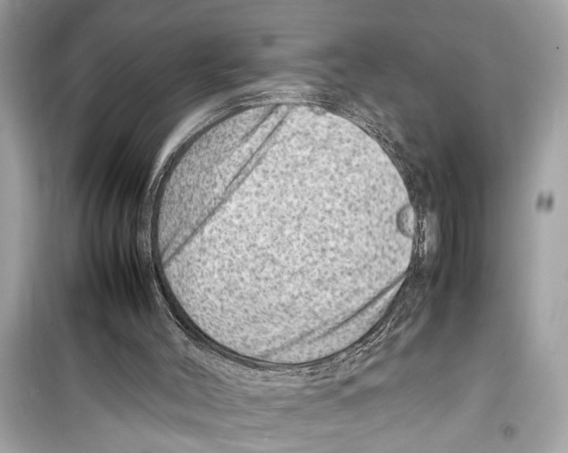 X0000098220004200805221659