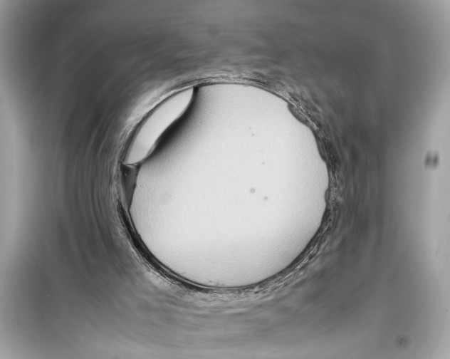 X0000098220005200805221659