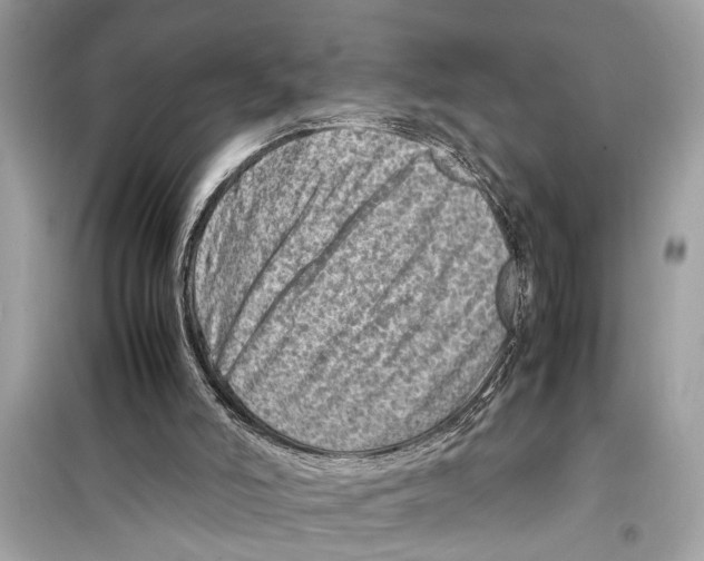 X0000098220006200805221659