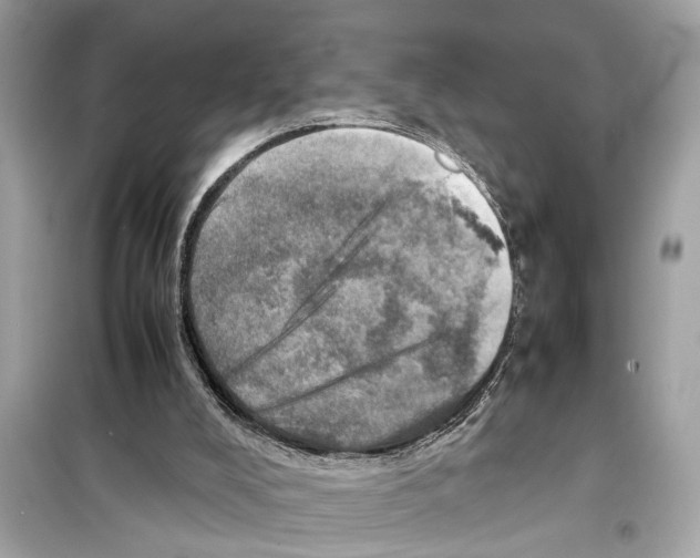 X0000098220008200805221659