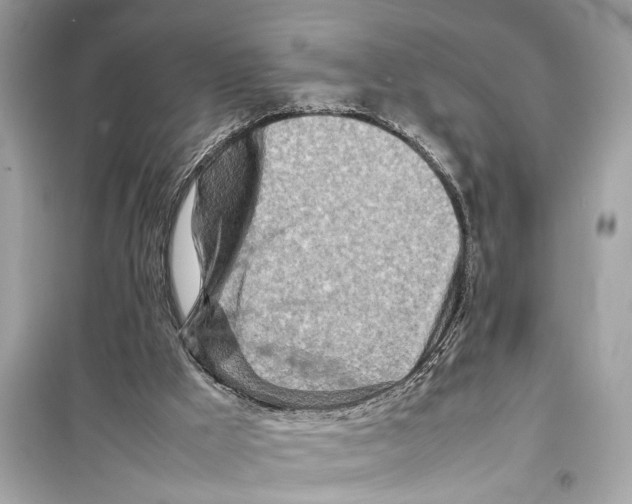X0000098220009200805221659