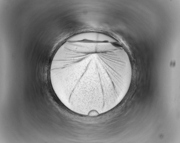 X0000098220010200805221659