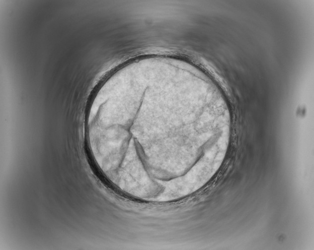 X0000098220011200805221659