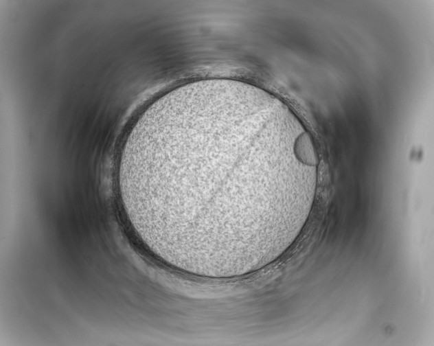 X0000098220012200805221659