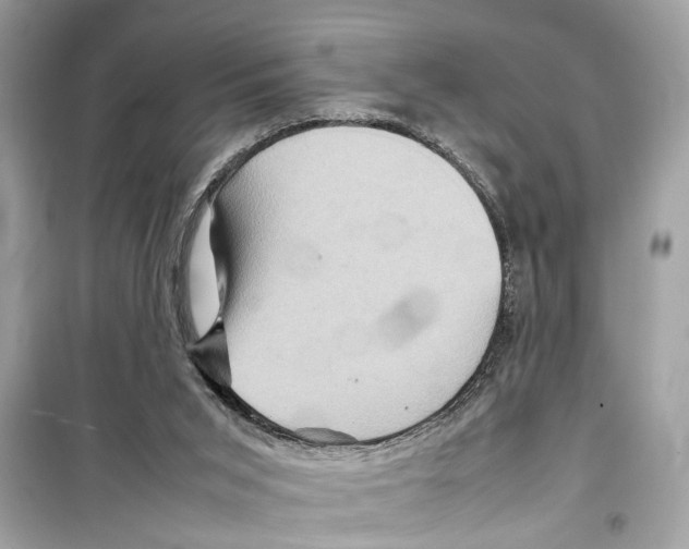 X0000098220015200805221659