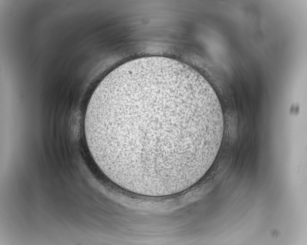 X0000098220016200805221659